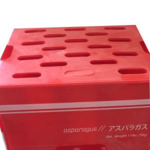 Velcro PP Hollow Box 5mm Corrugated Plastic Packing Box Turnover Red