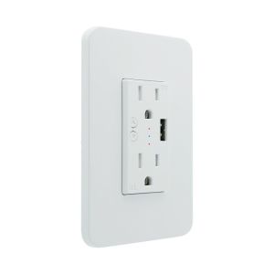 2 Gang Smart Wall Socket 120V With 2.1A USB Port US Standard