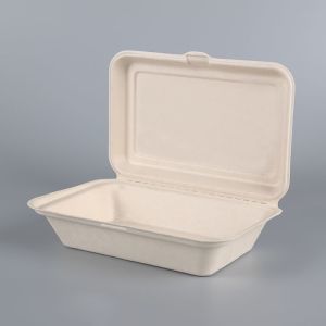 Sugarcane Pulp Dinnerware Sets 100% Biodegradable Disposable Food Packaging
