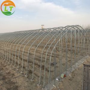 General Storage Greenhouse Skeleton for Small-Scale Mushroom and Vegetable