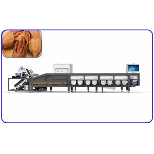 Buy cheap Accurate Peanut Grading Sorting Machine 0.8 - 1.2 T/H 8 Channel from wholesalers