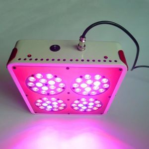 Quality Apollo 4 LED Grow Lights for Medical Plants Growth for sale