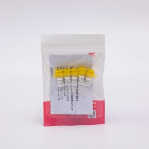 1ml 5ml 10ml Viral Nucleic Acid Extraction Kit Clear Liquid
