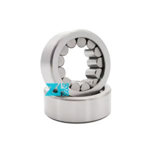 Cylindrical Roller Bearing Of Oil Pump R3523 R2521 35x62x23mm