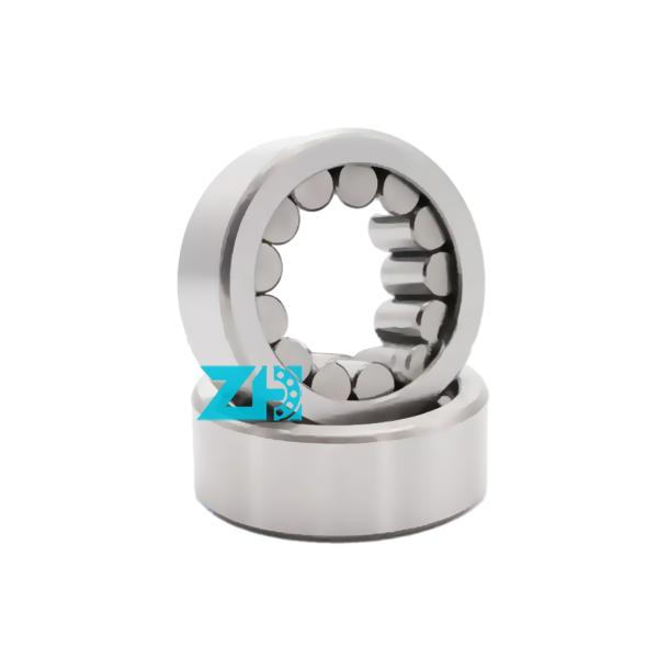 Hydraulic Pump F-94137 Cylindrical Roller Bearing 30.7*58*19.5mm High Precision