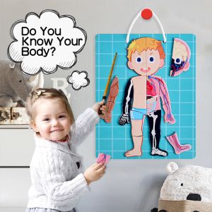 Children Education Magnetic Jigsaw Puzzle For Human Body Cognition