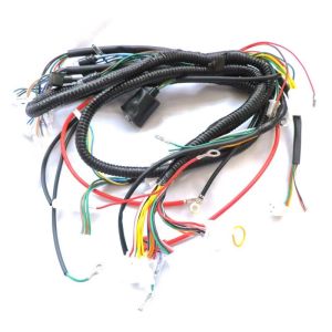 CB WIRE Custom Ford Mustang Tail light wire harness with RoHS and ISO Certificat