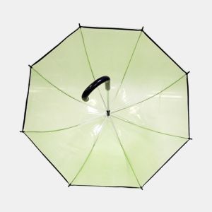 Straight POE Transparent Dome Umbrella With J Shape Handle