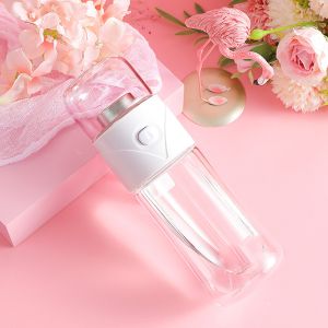 Double Layer 14oz Leak Proof Glass Water Bottle With Strainer