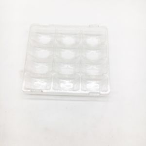 Plastic Clear 12 pack macaron tray