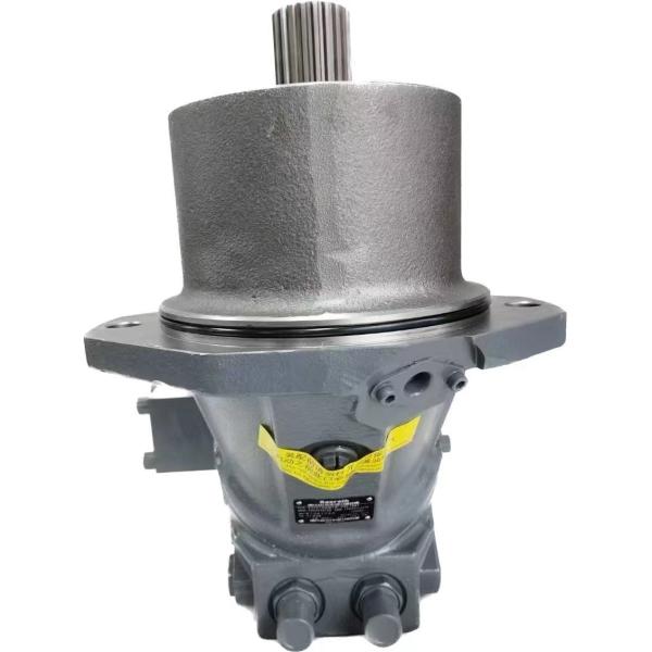 REXROTH Hydraulic Motor A2FE Series A2FE125/61W For Hydraulic Excavator Parts Hydraulic Pump Repair Kit