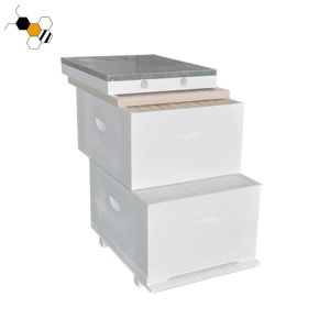 Quality 20mm Thick 10 Frames White Wood Pine Bee Hive for sale