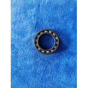 Customized 6804ce Ceramic Ball Bearing for High Temperature