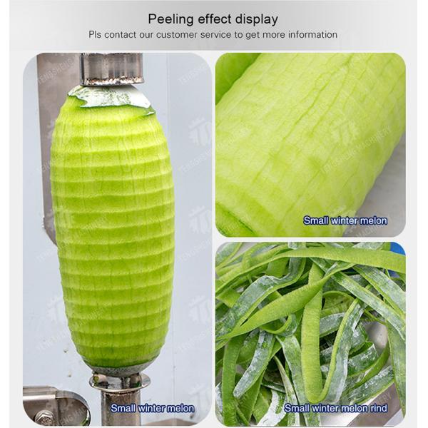 1.0KW 90KG Small automatic pumpkin papaya pineapple cantaloupe peeler Commercial fruit peeler equipment