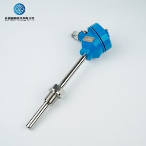 PT100 RTD Temperature Transmitter Threaded Or Flange Connection