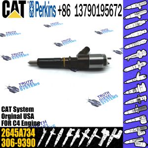 CAT injector 3200680 3069380 2923780 10R-7672 2645A734 for Caterpillar C4