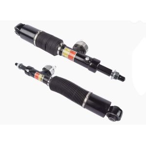 E6211 6JF9A E6211-1LB9B Rear Left + Right Hydraulic Shock Absorbers For Nissan