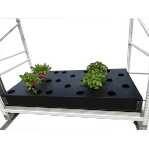 40 Site Aeroponic Hydroponic Growing Boxes Tomato Hydro Grow System