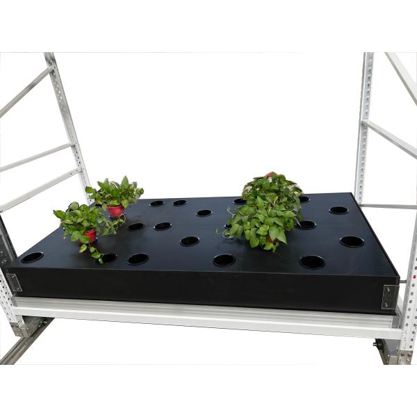 Buy 40 Site Aeroponic Hydroponic Growing Boxes Tomato Hydro Grow System at wholesale prices