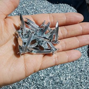 China 25mm Electro Glavanized Steel Concrete Nails With Wide Flat Head on sale
