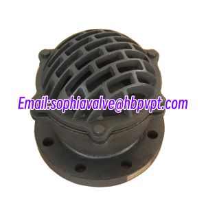 BS4504 PN10/16 EPDM flanged foot valve