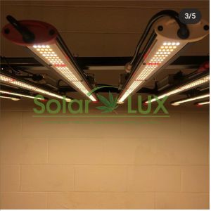 6bars 600W Horticulture Full Spectrum LED Grow Lights