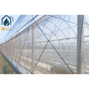 Multi Span Agriculture Greenhouse For Sustainable Crop Cultivation