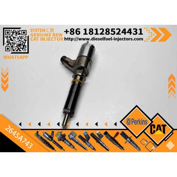High Quality New Fuel System Parts Diesel Fuel Injector 2645A743 for Cat C6.6 Engine