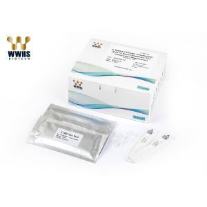 β-HCG Urine Fertility Test Kit Cassette High Accuracy For Obstetrics In Human