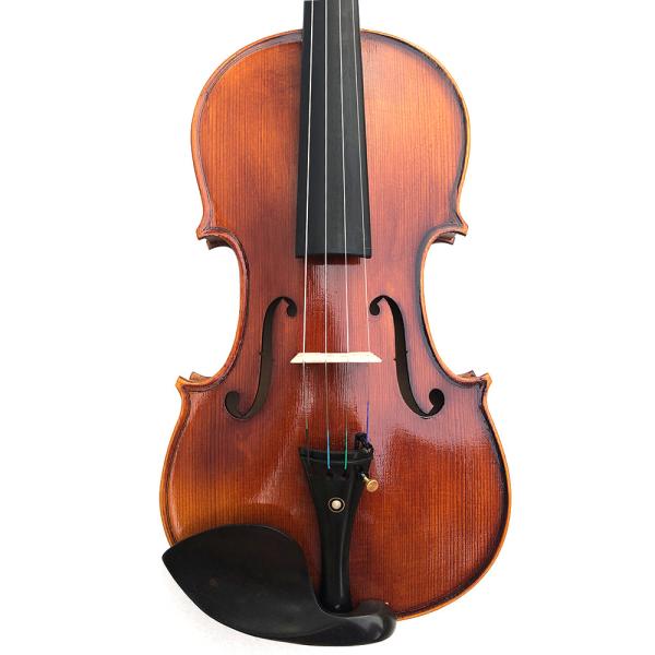 Ebony Parts Solid Wood 4/4 Electric Violin with Case (VE008) Muscial Instruments Satin Finish Student Flamed Maple Wood