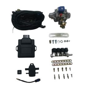 CNG LPG Mini Conversion Kits Covers 32 Pin ECU 4 Cylinder Injector Rail LPG CNG