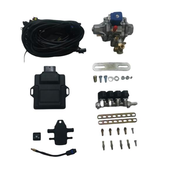 CNG LPG Mini Conversion Kits Covers 32 Pin ECU 4 Cylinder Injector Rail LPG CNG