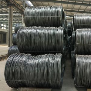 0.55mm 10B21 Galvanized Steel Wire Rod Iron Cold Rolled For Fence Mesh