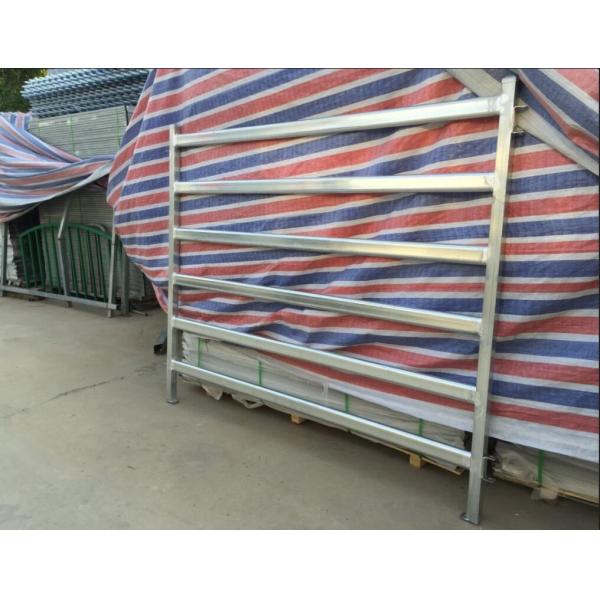 Safety Animal Livestock Fence Panels , Horse Corral Panels 2.1mL*1.8mH Size