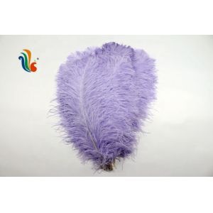 Various Color Millinery Feather Ostrich Plume Feathers 50-55cm For Hat