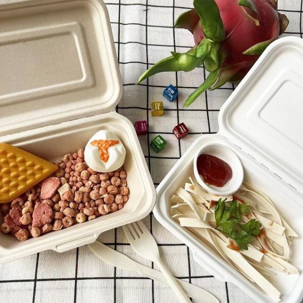 Buy 600ml Lunch Biodegradable Bagasse Tableware Disposable Takeaway Containers at wholesale prices