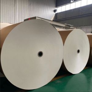 Polyethylene coated Paper Roll for food and beverage packaging