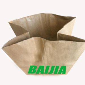 Extra Large Recyclable Lawn Paper Bags Custom Lining Thickness