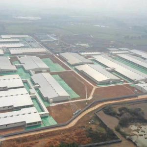 2.5 - 30 Tons Silo Piggery Farm Equipment Swine Breeding Equipment ISO9001