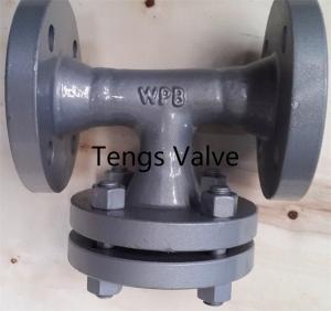 Quality ANSI & DIN Standards Flanged Welded Body Steel Tee Type Strainer for sale