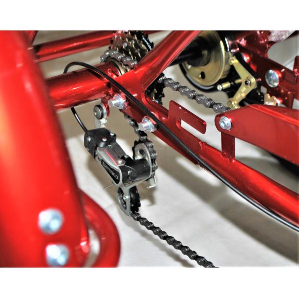 24" Rear Hub Motor Steel Frame 7speeds 36V350W 35KM/H Unisex Adult Electric Tricycles