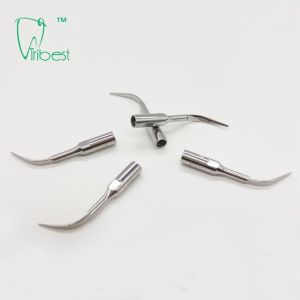 Stainless Steel Woodpecker Ultrasonic Scaler Tips GD1 GD2 GD3 GD4