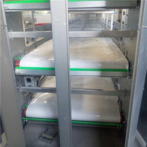 Buy 380V Manure Removal Equipment , 120 * 120 * 70cm Chicken Poultry Equipment at wholesale prices