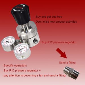 China AFK R12 3000psi Nitrogen Gas Pressure Regulator Hydrogen With Gauge CV 1.0 on sale