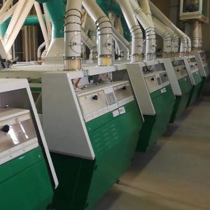 China China Complete Set Wheat Corn Maize Flour Mill Milling Machines From Manufacture on sale
