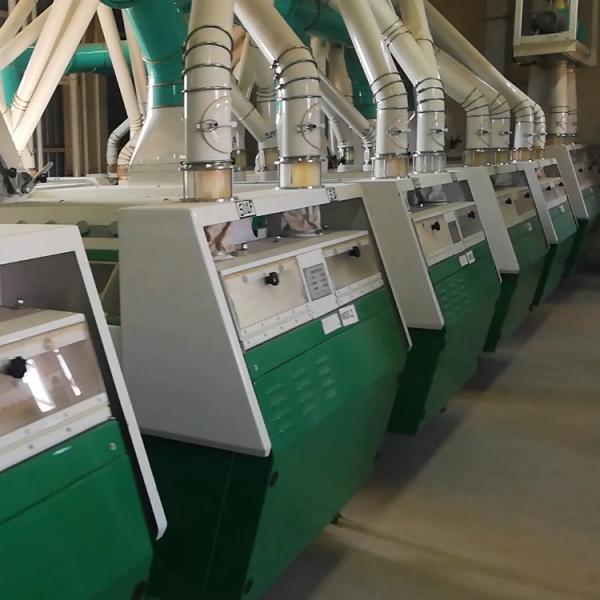 Chinese Professional China Wheat Corn Mill Flour Machines Flour Milling Machine