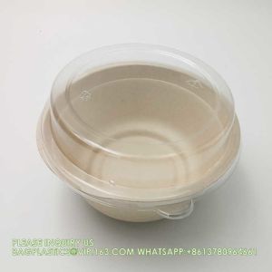 Eco Friendly Bowls 100% Compostable Disposable Biodegradable Sugarcane Bagasse