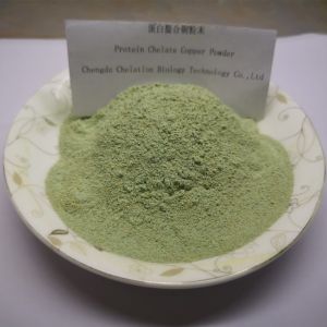 China Light Green Powder Chelate Protein Proteinate Mineral Cu Supplementation on sale