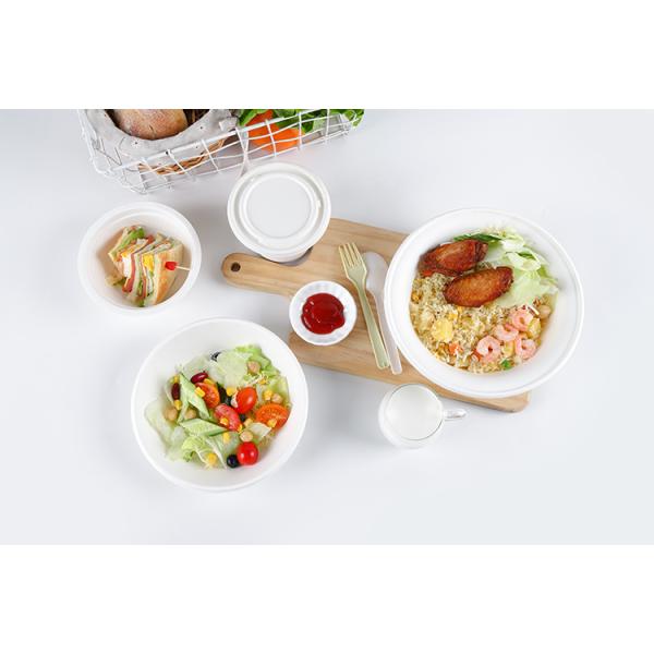 Biodegradable Sugarcane Pulp Party Dinnerware Plate Sugarcane Bagasse Paper Plate Round Disposable Plate dishes