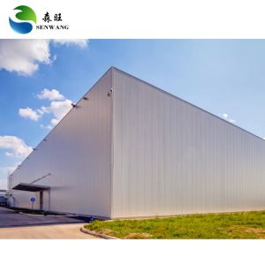 50 Years Life Span Steel Structure Warehouse with Q355B Carbon Structural Steel